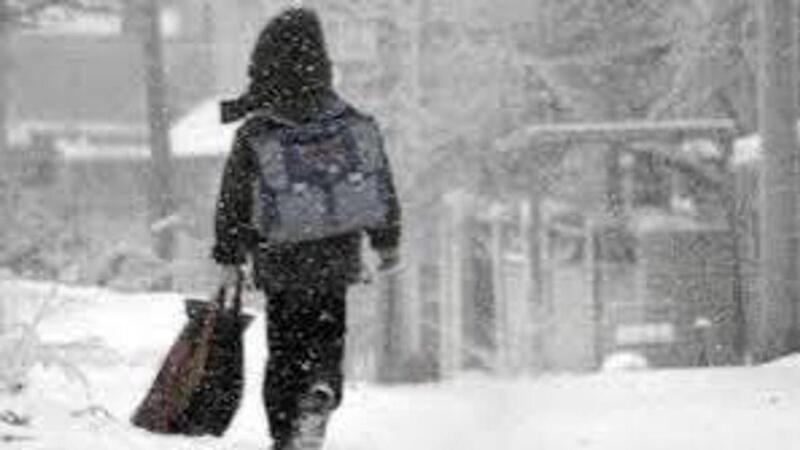 Астанада оқушылар мен студенттер қашықтан оқуға көшті