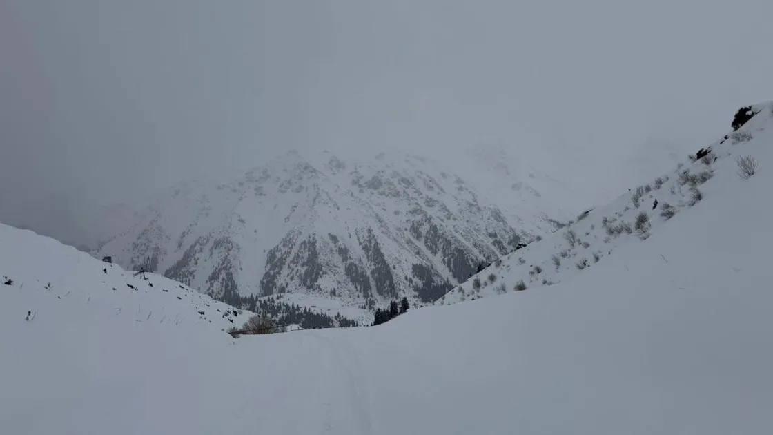 ТЖМ Қазақстан тауларында қар көшкіні жүруі мүмкін екенін ескертті
