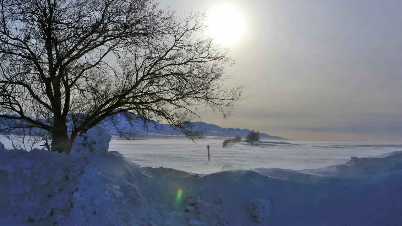 Ұлытау облысында жоғалып кеткен малшылар табылды