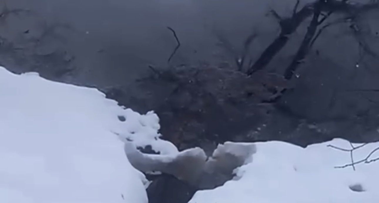 Более 21 млн тенге заплатит предприятие за загрязнение реки в Акмолинской области