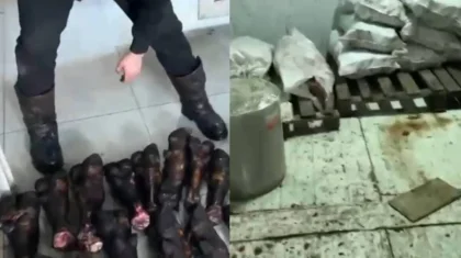 «Антисанитария»: Астанада арам жерге мал сойып, ет сатқандар анықталды