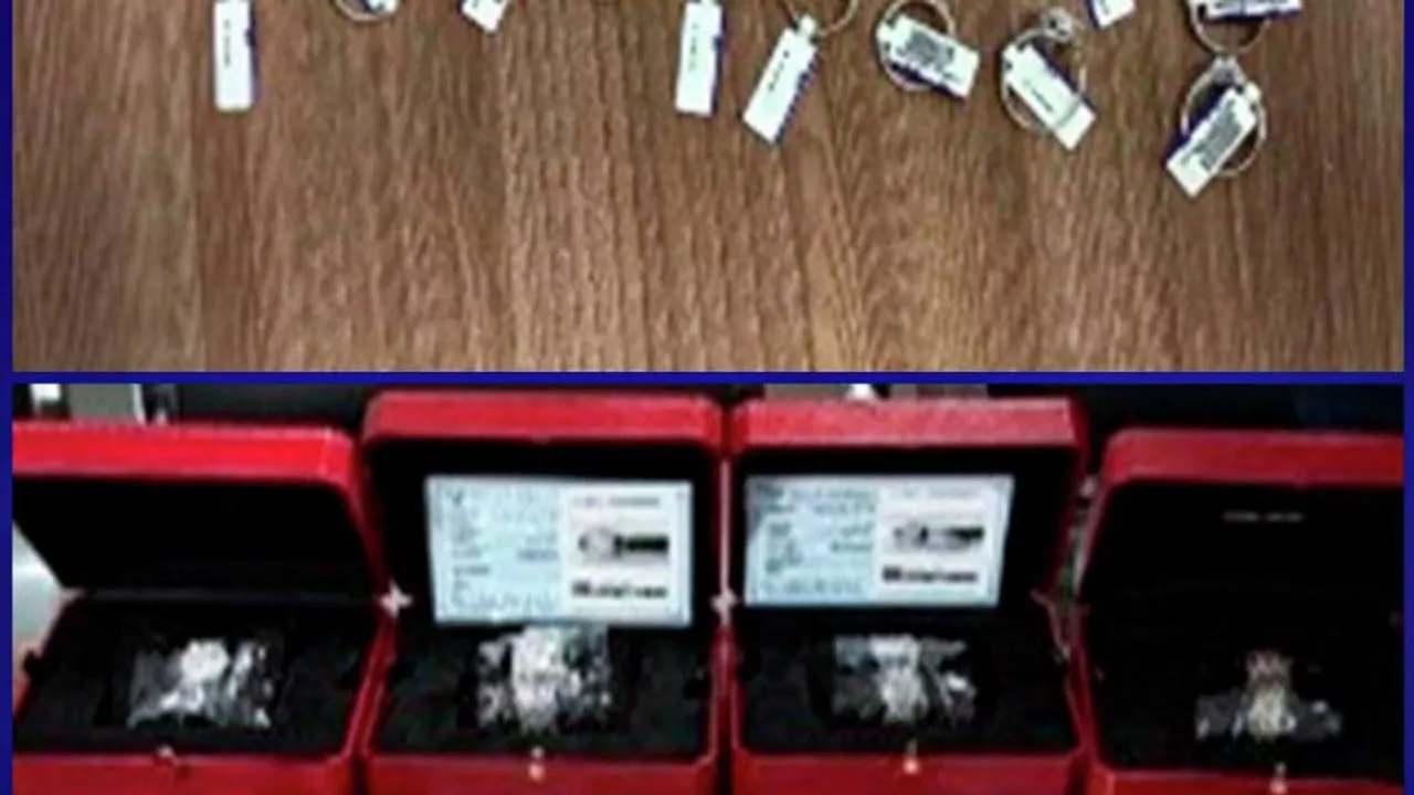 Жамбыл облысында шетелге 1 млрд теңгенің кенін заңсыз әкетпек болғандардың жолы кесілді