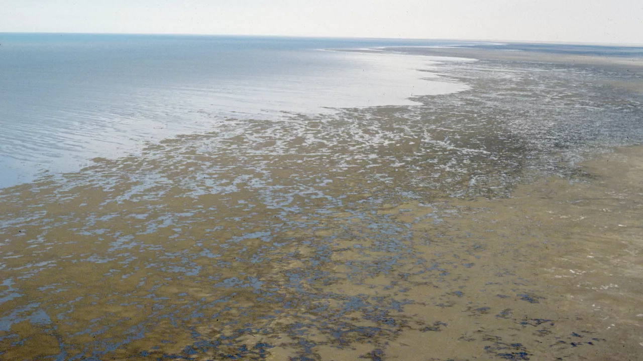 Орталық Азия мемлекет басшылары сәуірде Астанада бас қосады