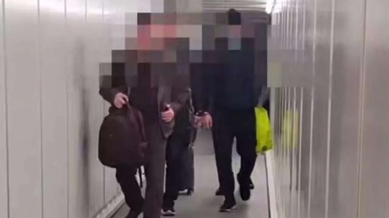 Қаржы пирамидасын ұйымдастырған күдікті Грузиядан экстрадицияланды