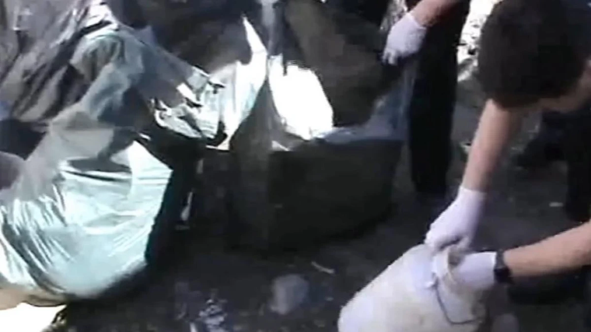 Талдықорғанда екі наркозертхана әшкереленді: 1,3 кг мефедронмен шетелдіктер ұсталды