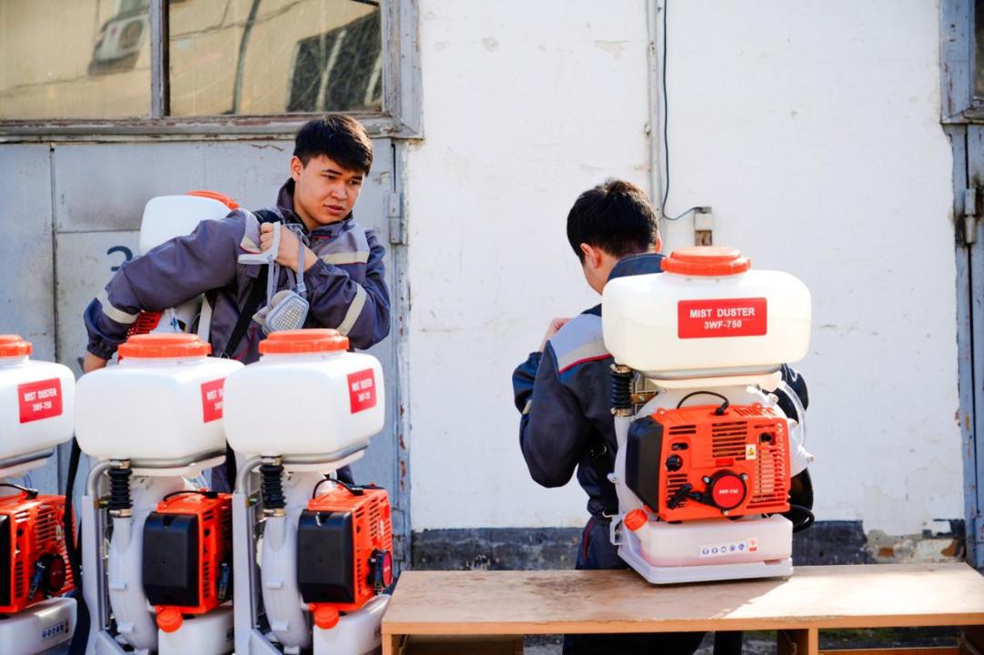 В Астане в шесть этапов проведут обработку от комаров и мошек