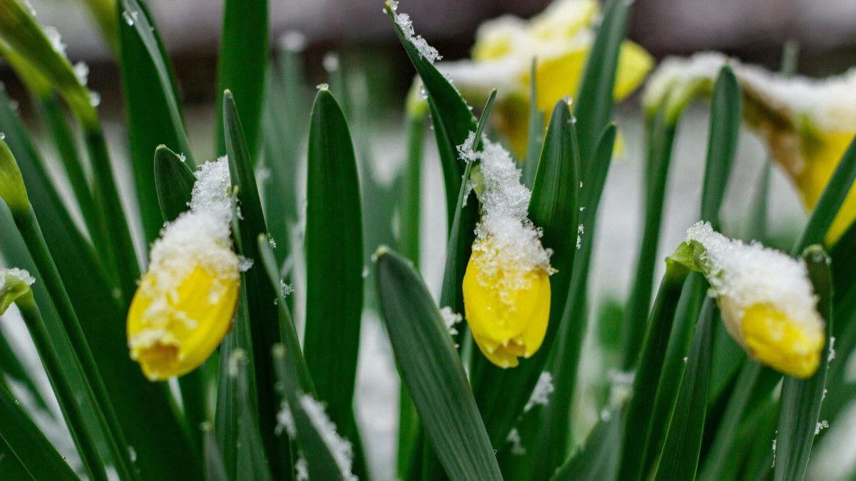 Бүгін елімізде ауа райы қандай болады