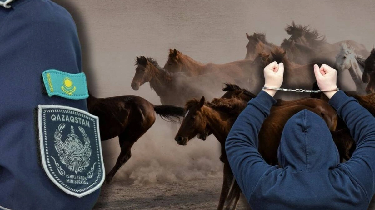 Жетісуда мал ұрлағандар көлігінен айырылып жатыр