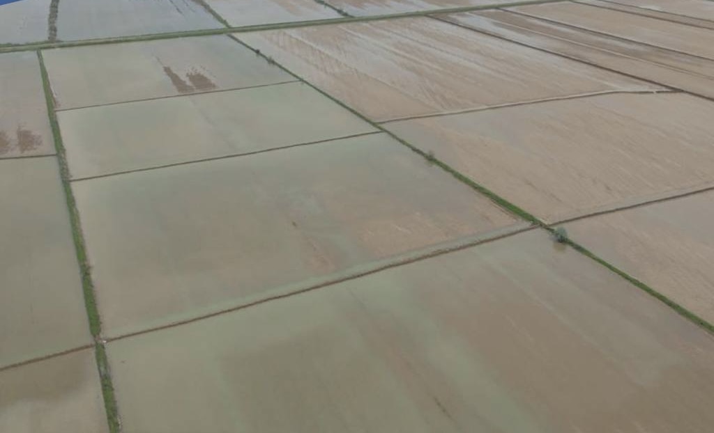 Более 400 млн кубометров воды направили на промывку почвы в Туркестанской области