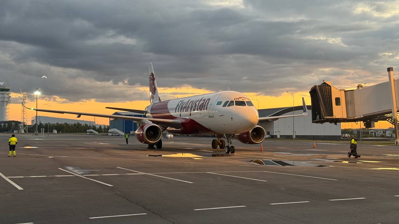 Самолет в Шымкенте столкнулся с собакой после посадки