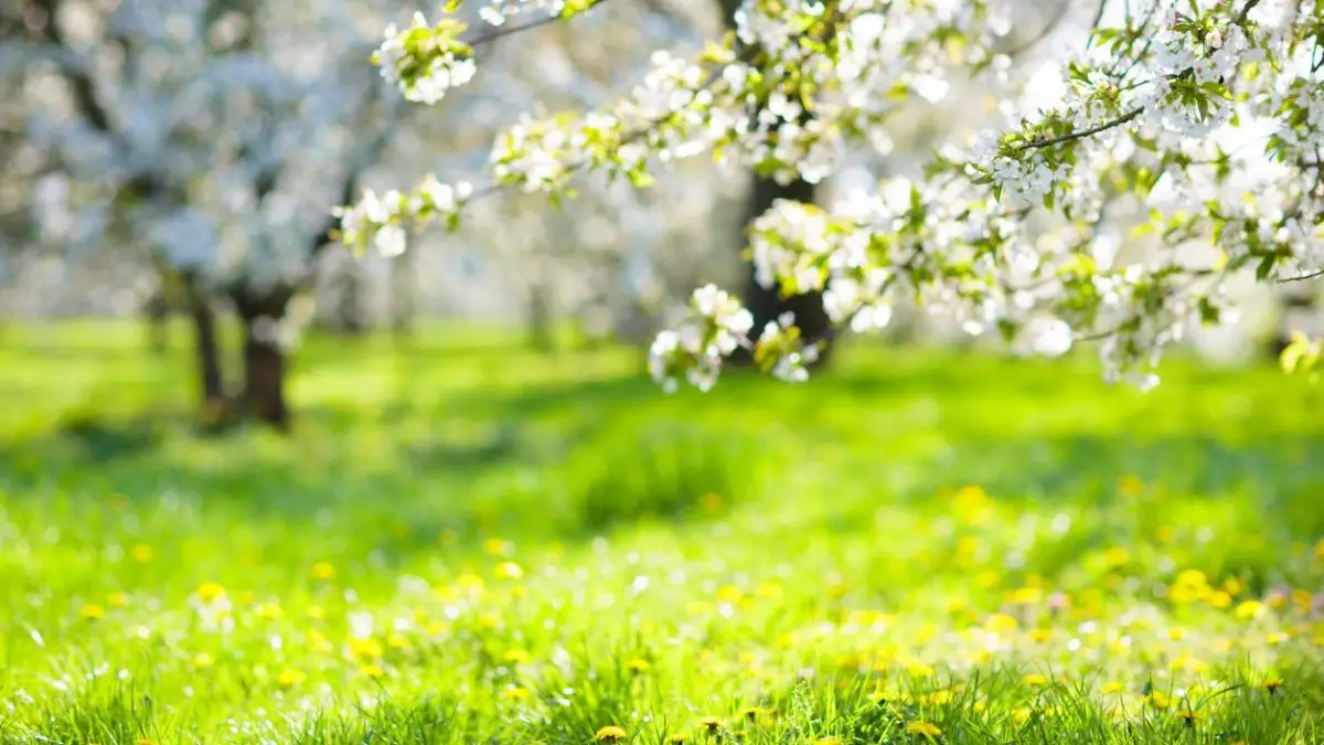 Елімізде алдағы демалыс күндері 28 градус жылы болады