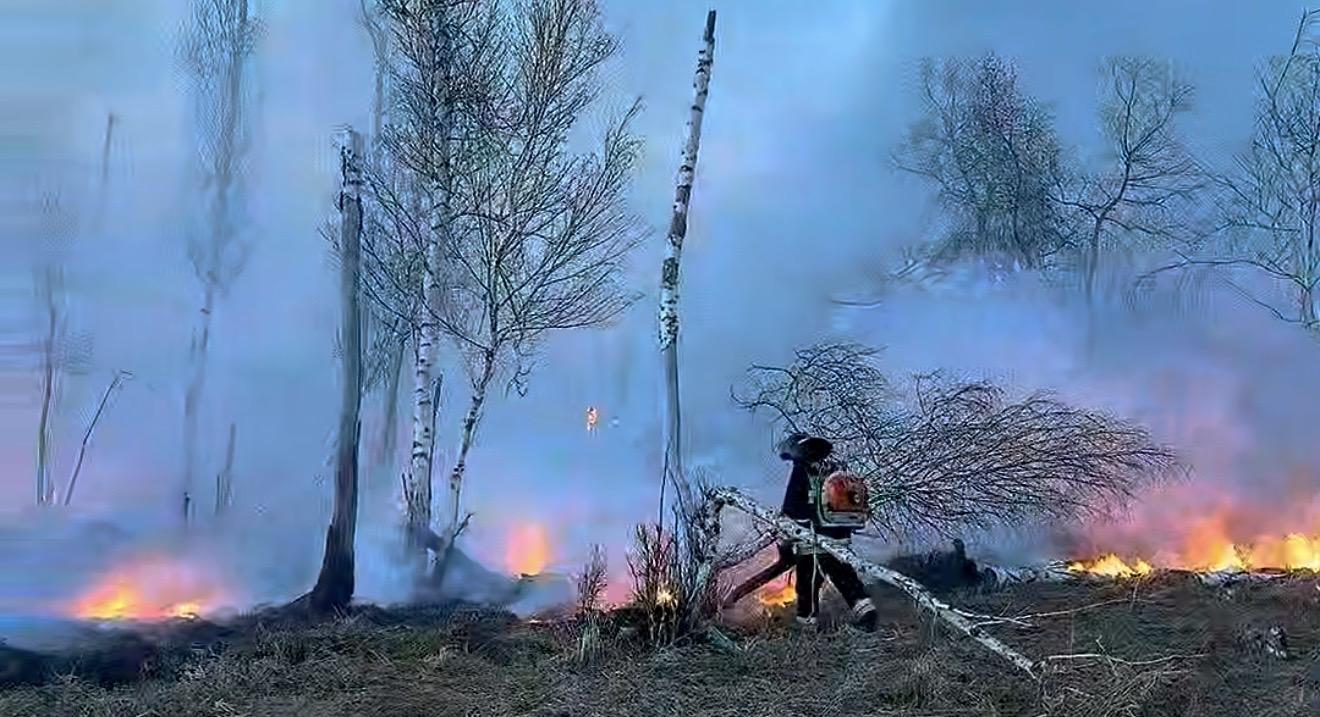 Почти 8 гектаров выгорело в результате пожара в СКО