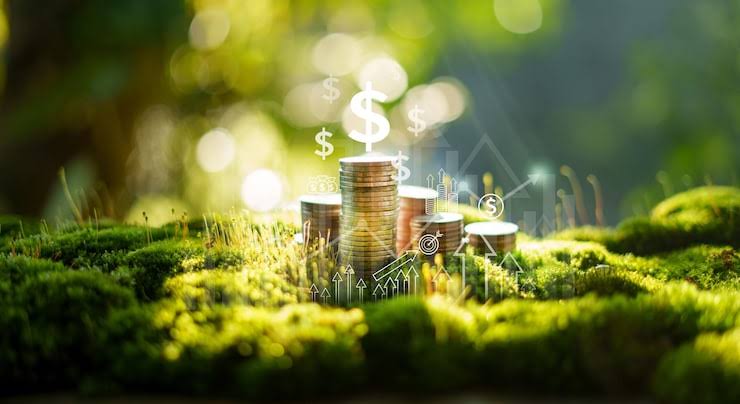 В области Абай раскрыто хищение более 250 млн тенге по программе «Агробизнес»