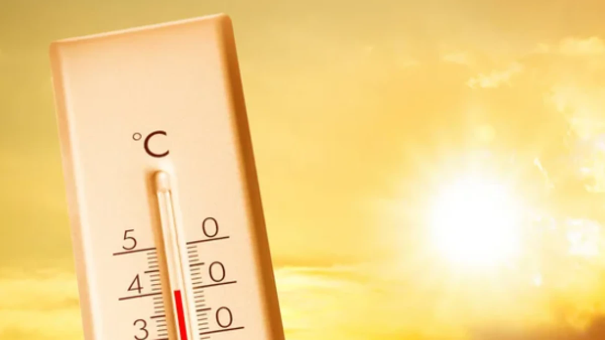 +44°C дейін ыстық пен жауын-шашын: Алдағы үш күнге арналған ауа райы болжамы жарияланды